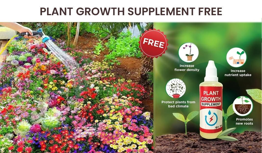 Varieties of Flower Seeds (Pack of 100) + 🔥Get Plant Growth Supplement Free Only For Today🔥