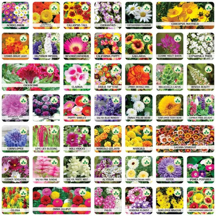 Varieties of Flower Seeds (Pack of 100) + 🔥Get Plant Growth Supplement Free Only For Today🔥